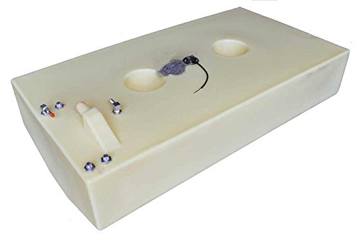 Moeller Marine Products 032590 Fuel Tank, 90 Gallon