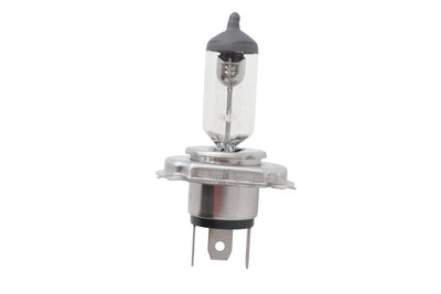 6 Volt Bulb