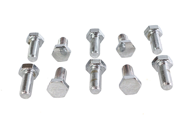 Hex Cap Bolts Chrome 5/16 inch x 3/4 inch