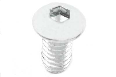 Allen Button Head Screws Chrome 5/16 inch X 3/4 inch