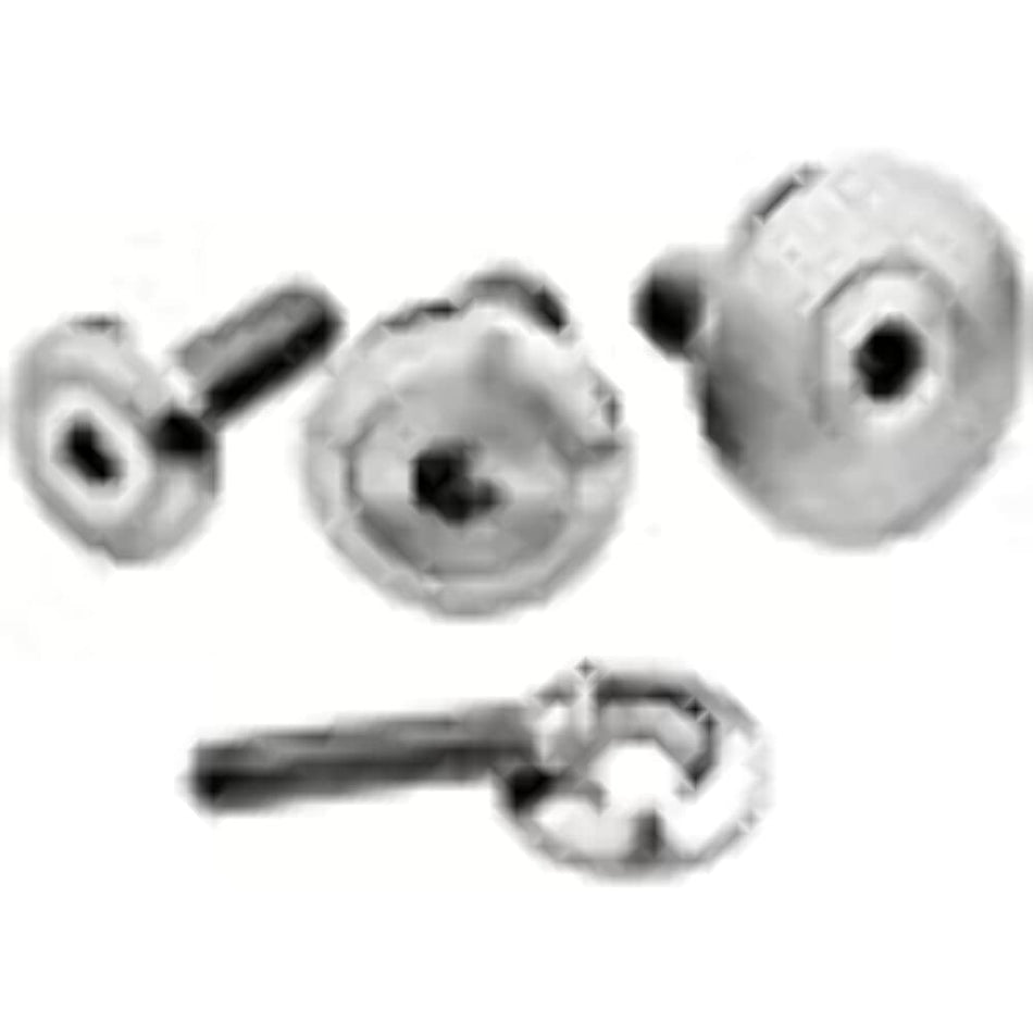 Billet Specialties 66130 0.25-20 x 1in Stainless Steel Bolts - Pack of 2