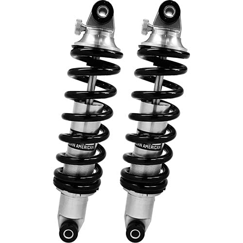 Aldan PWSBF2 Coil-Over Kit, Chrys