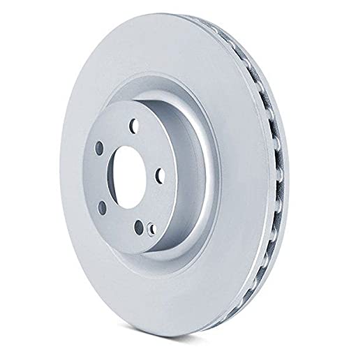 Raybestos 980925FZN Rust Prevention Technology Coated Rotor Brake Rotor, 1 Pack
