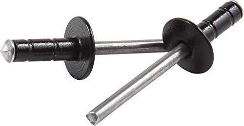 Allstar Performance ALL18071 1/2 in Head Multi-Grip Rivet