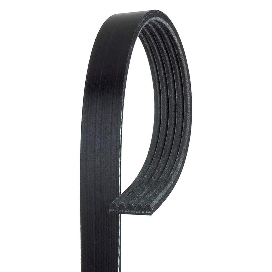 ACDelco Serpentine Belt - 5K744