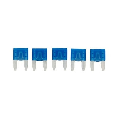 5PK Bp/ATM-15 Fuses - BPATM15RP