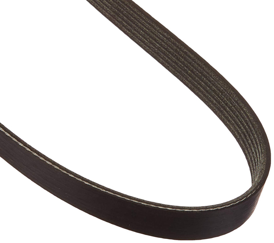 Dayco 5060825 Fan Belt