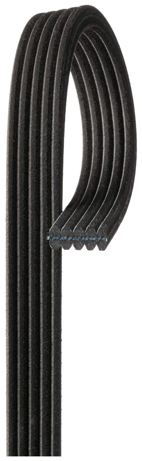 ACDelco Gold 5DK610 Dual Sided V-Ribbed Serpentine Belt