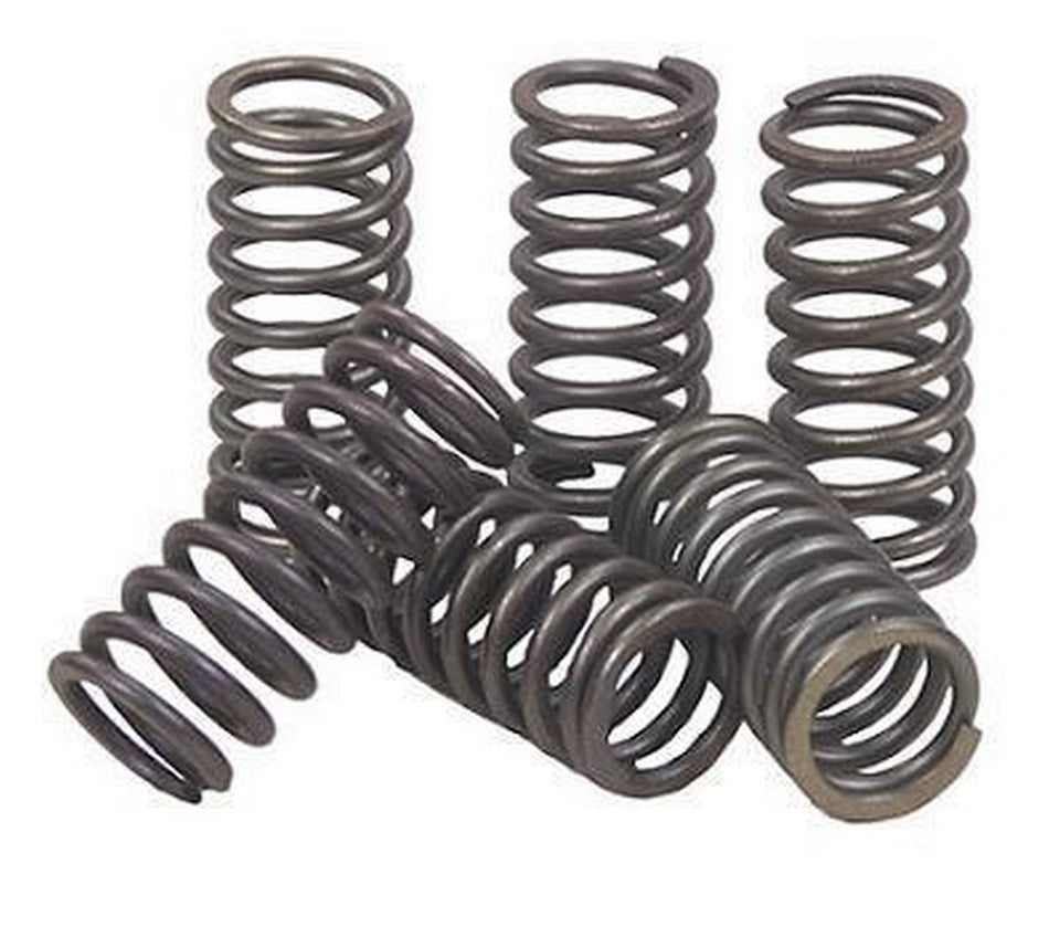 EBC Clutches CSK78 CSK78 CLUTCH SPRING KIT EBC