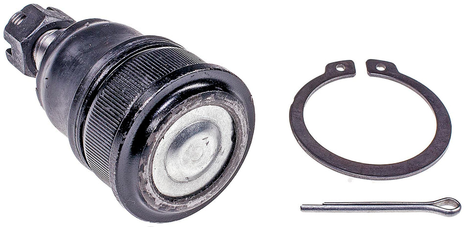 Dorman Premium BJ59035PR Front Lower Suspension Ball Joint Compatible with Select Honda Models