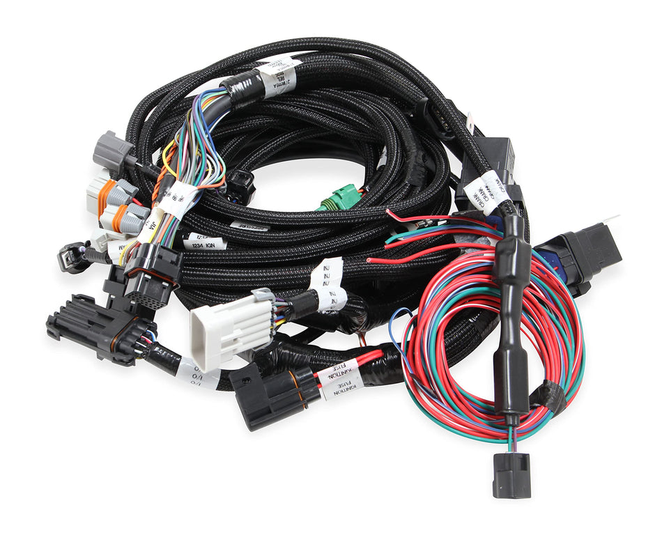 Holley EFI Main Harness, 99-04 Ford Modular, W/Sma
