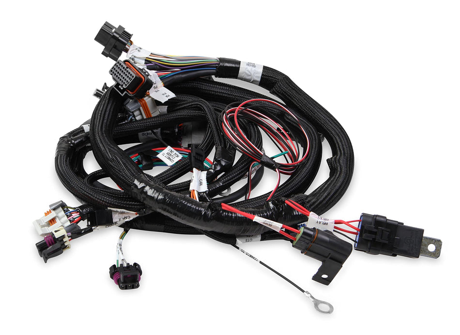 Holley EFI Main Harness, Terminator Tbi, Lsx, 24X