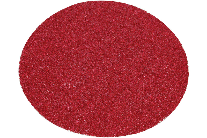 8 IN SANDING DISCS 24 GRIT