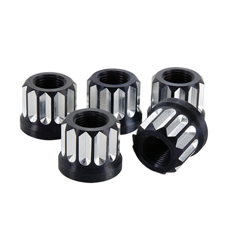 LUG NUTS