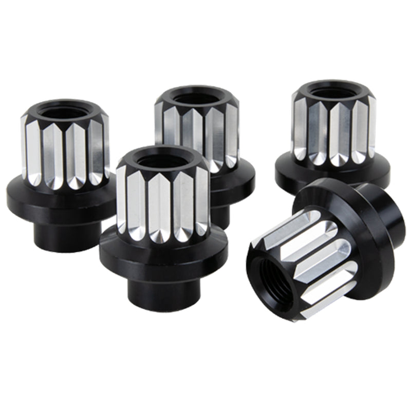 LUG NUTS