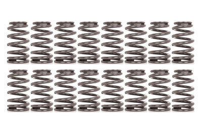 VALVE SPRING