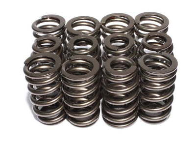VALVE SPRINGS