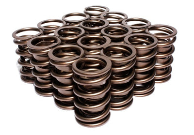 VALVE SPRINGS