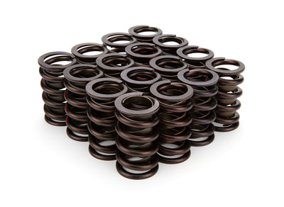VALVE SPRINGS 1.269