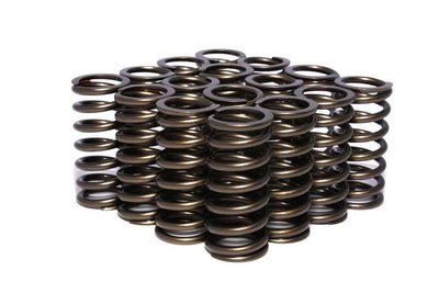 VALVE SPRINGS