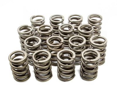 VALVE SPRINGS