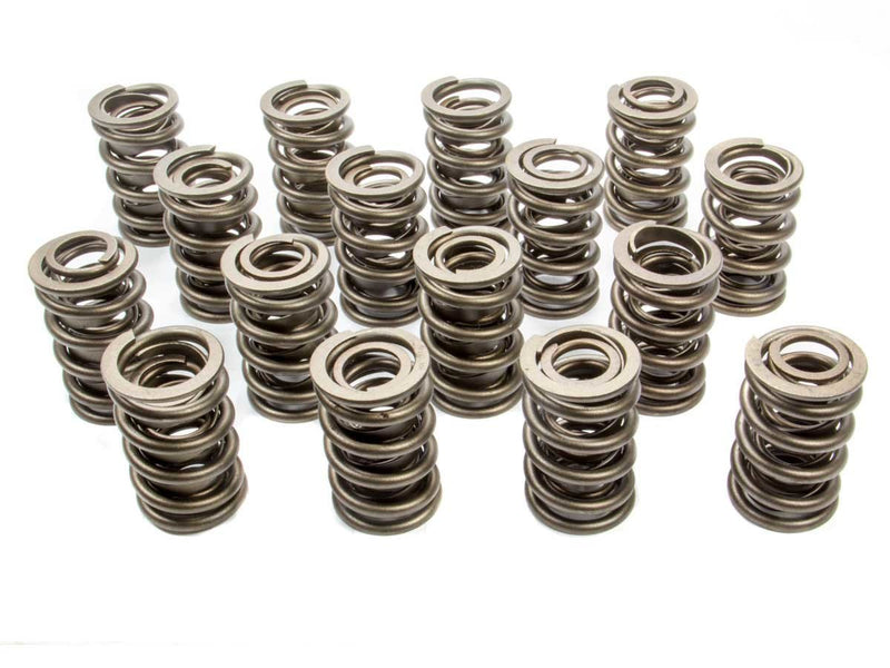 VALVE SPRINGS
