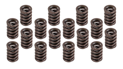 VALVE SPRINGS