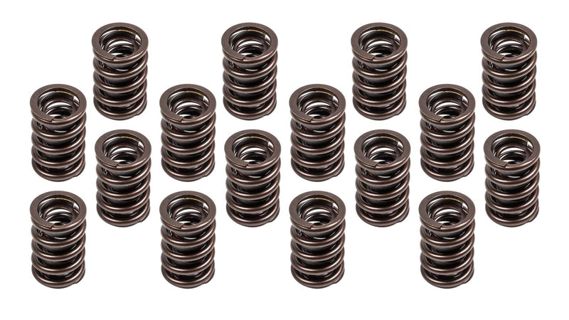 VALVE SPRINGS
