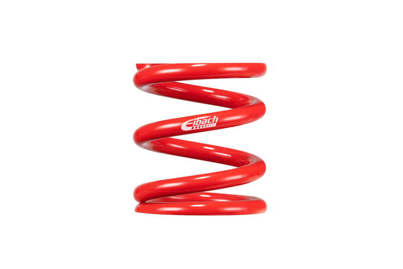 RACING SPRINGS
