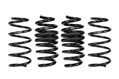 COIL SPRINGS