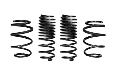 SPRINGS LOWERING PROGRESSIVE