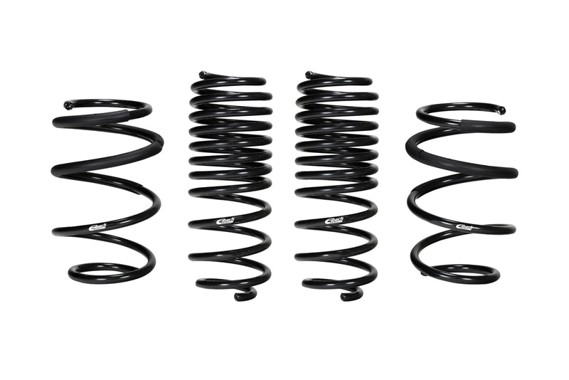 SPRINGS LOWERING PROGRESSIVE