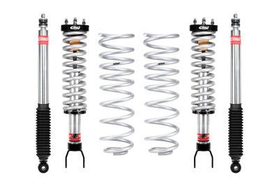 PRO-TRUCK COIL OVER SYSTEM