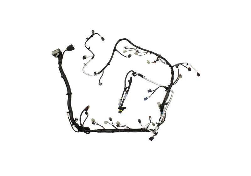 ENGINE HARNESS 5.0L TIVCT AUTO