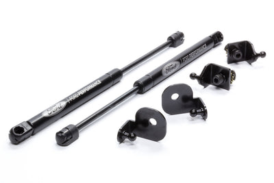 HOOD STRUT KIT