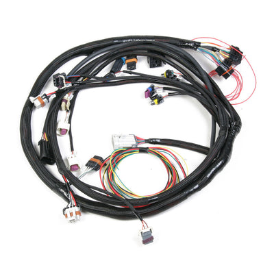 FUEL INJECTION WIRE HARNESS
