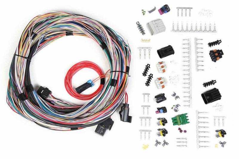 FUEL INJECTION WIRE HARNESS