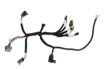 HOLLEY EFI BENCHTOP HARNESS
