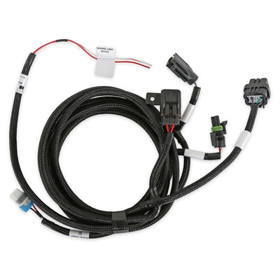 HARNESS TRANS T56 MAGNUM EFI