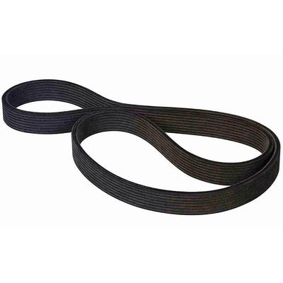 6-Rib Serp. Belt 28.0in - GDY4060280