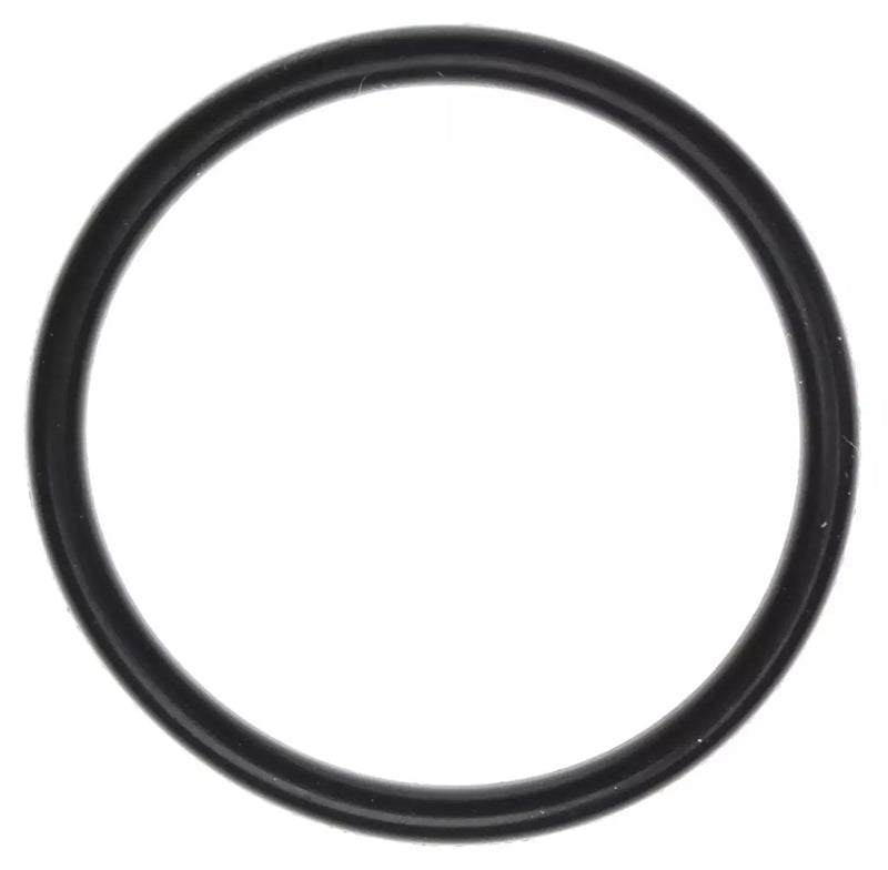EFI Throttle Body O-Ring 05-10 Hemi 6.1L