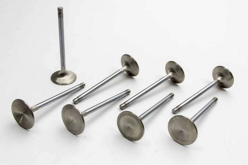 Exhaust Valve Set of 8 - 115978