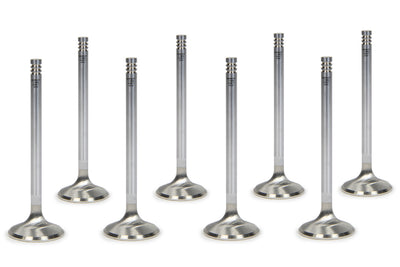 SET OF 8 EXHAUST VALVES
