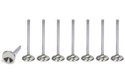 VALVE- EXHAUST