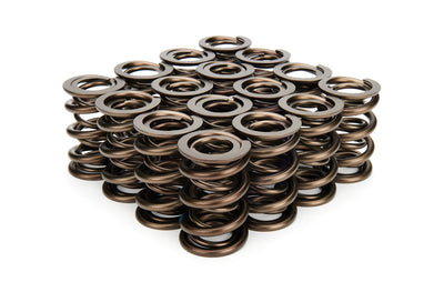 VALVE SPRING SET