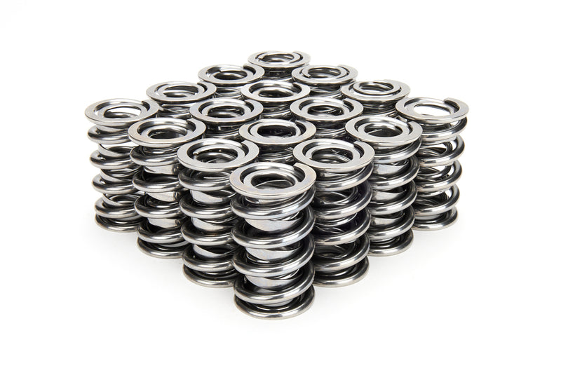 VALVE SPRING SET