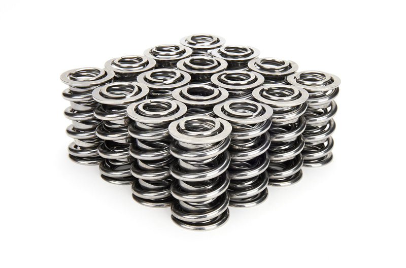 VALVE SPRING SET