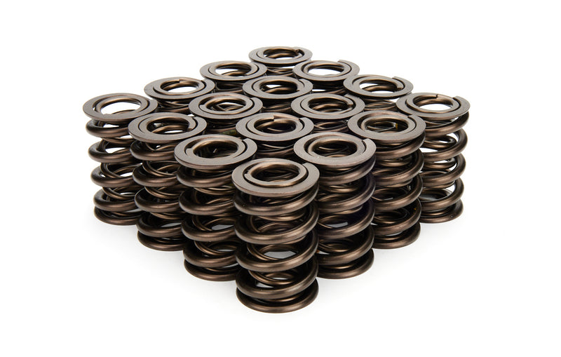VALVE SPRING SET