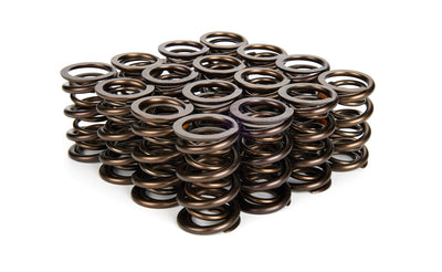 VALVE SPRING SET