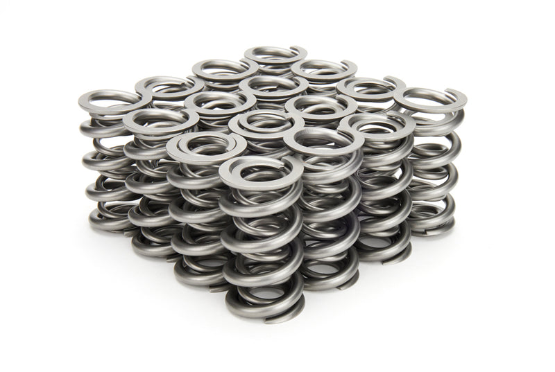 VALVE SPRING SET